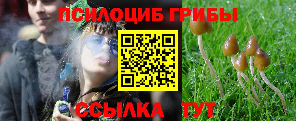 Среднеуральск  Псилоцибиновые грибы GOLDEN TEACHER  даркнет сайт  Вход с VPN 